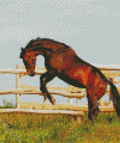 Brown Bucking Horse Diamond Paintings