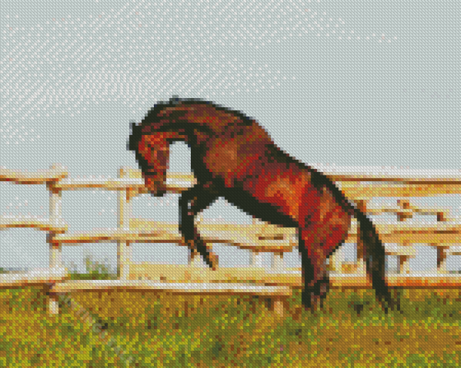 Brown Bucking Horse Diamond Paintings