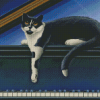 Cat On Piano Diamond Paintings