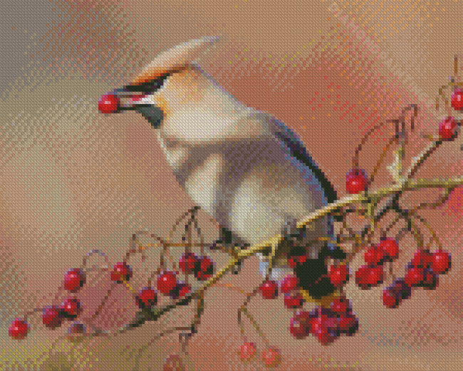 Cedar Waxwing Eating Diamond Paintings