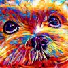 Colorful Abstract Maltese Diamond Painting