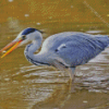 Cool Grey Herron Diamond Paintings