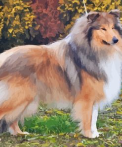 Cool Sable Rough Collie Diamond Painting