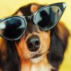 Dog Wearing Sunglasses Diamond Painting