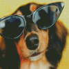 Dog Wearing Sunglasses Diamond Paintings