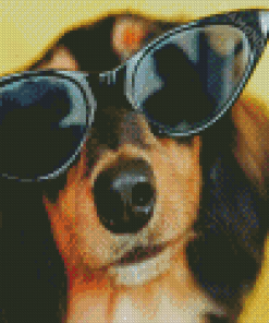 Dog Wearing Sunglasses Diamond Paintings