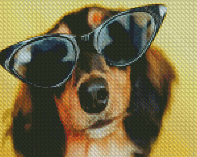 Dog Wearing Sunglasses Diamond Paintings