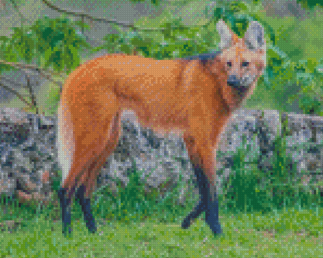 Fox Wolf Diamond Paintings