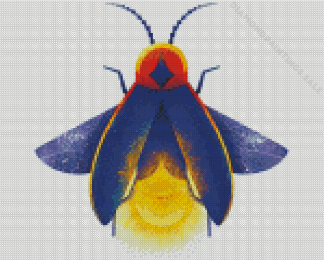 Insect Firefly Art Diamond Paintings