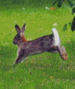 Leaping Rabbit Diamond Paintings