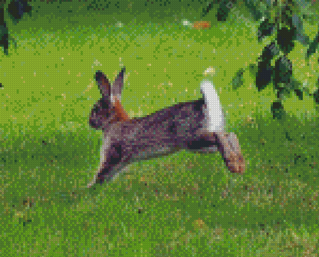 Leaping Rabbit Diamond Paintings