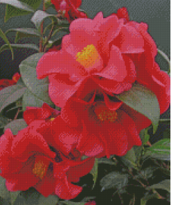 Red Camellia Diamond Paintings