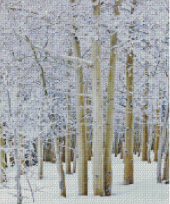 Winter Aspen Trees Landscape Diamond Paintings