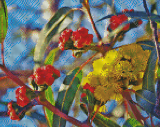 Yellow Snow Gum Flowers Diamond Paintings