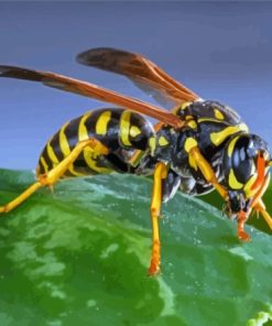 Yellowjacket Insect Diamond Painting