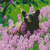 Grizzly Bear In Flower Field Diamond Paintings