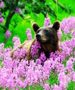 Grizzly Bear In Flower Field Diamond Painting