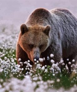 Bear In Flower Field Diamond Painting