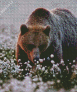 Bear In Flower Field Diamond Paintings