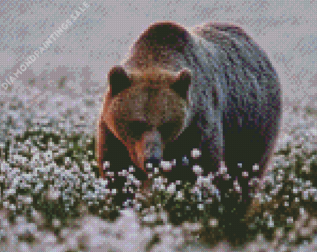 Bear In Flower Field Diamond Paintings