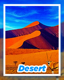 Desert