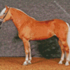 Haflinger Horse Diamond Paintings