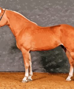 Haflinger Horse Diamond Painting