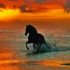 Horse On Beach Sunset Diamond Painting