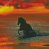 Horse On Beach Sunset Diamond Paintings