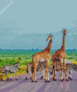 Kruger National Park Giraffes And Zebras Diamond Paintings