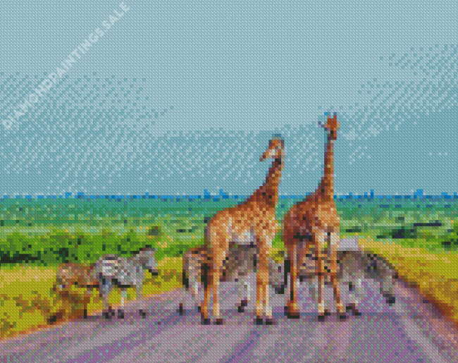 Kruger National Park Giraffes And Zebras Diamond Paintings