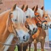 The Haflinger Horses Diamond Painting