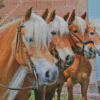 The Haflinger Horses Diamond Paintings