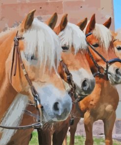 The Haflinger Horses Diamond Painting
