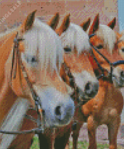The Haflinger Horses Diamond Paintings