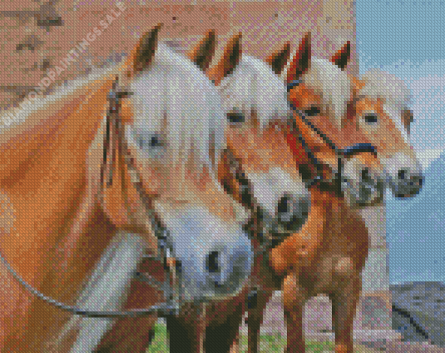 The Haflinger Horses Diamond Paintings