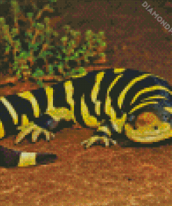 Tiger Salamander Ambystomatidae Diamond Paintings