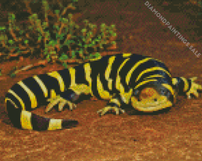 Tiger Salamander Ambystomatidae Diamond Paintings