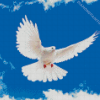 White Flying Pigeon Diamond Painting