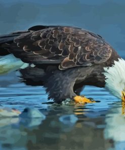 Bald Eagle Diamond Painting