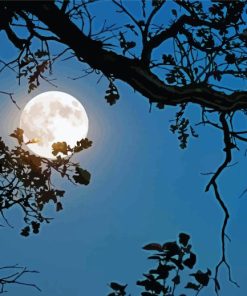 Moon Night Tree Diamond Painting