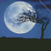 Night Tree Moon Diamond Paintings