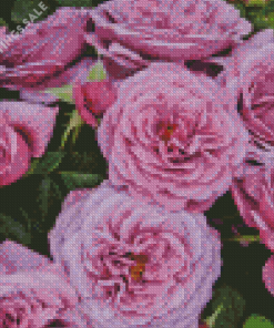 Purple Fairytale Roses Diamond Painting