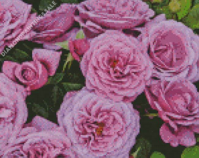 Purple Fairytale Roses Diamond Painting