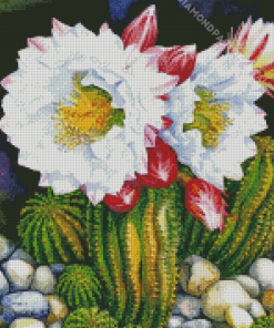 White Cactus Flower Diamond Paintings