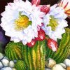 White Cactus Flower Diamond Painting