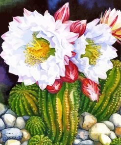 White Cactus Flower Diamond Painting