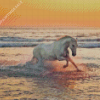 White Horse On Beach Diamond Paintings