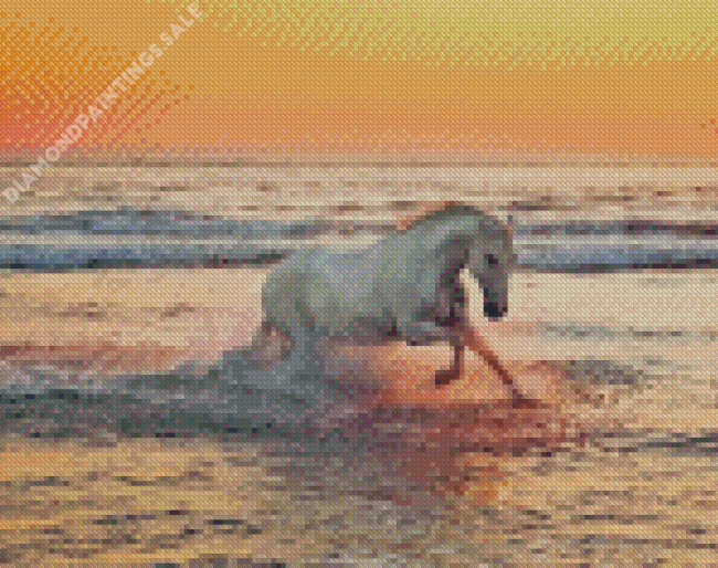 White Horse On Beach Diamond Paintings