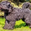 Black Bouvier des Flandres Dog Diamond Painting